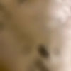rhyiachristine2